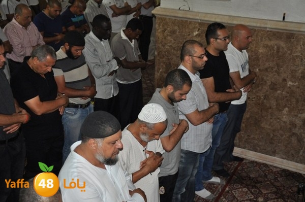 trawe7 mahmodiya 713 (5).JPG